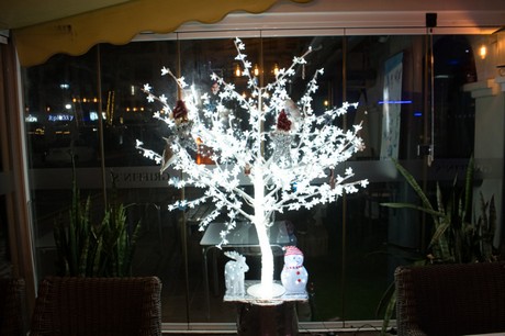 Marina De La Duquesa